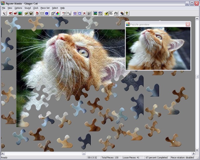 Jigsaw Mania Screenshot